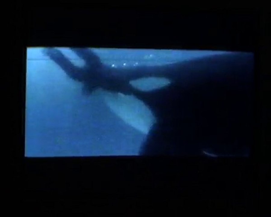 Sauvez Willy [2/6]