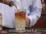 Gosling's Rum Dark 'n Stormy®
