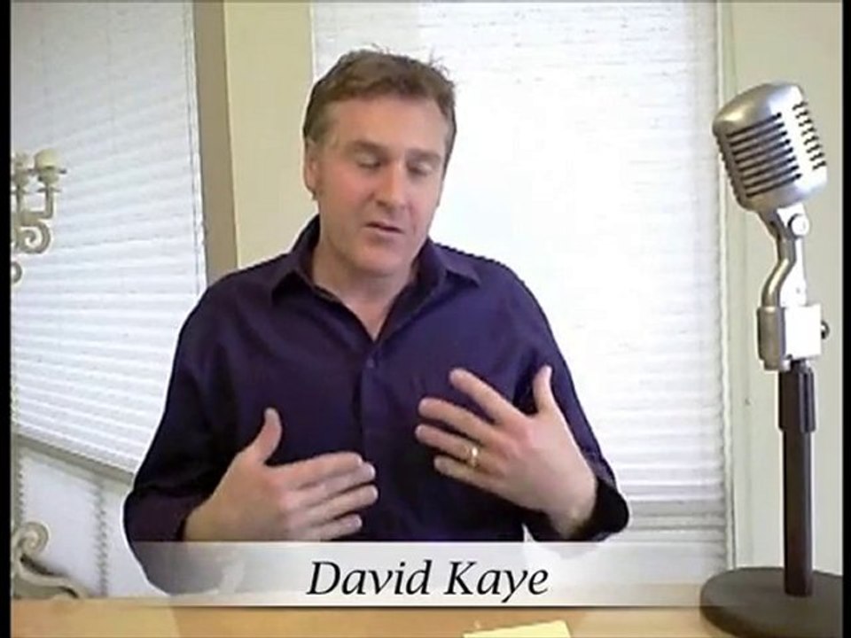 VOICEOVER ARTIST SUCCESS SECRETS DAVID KAYE