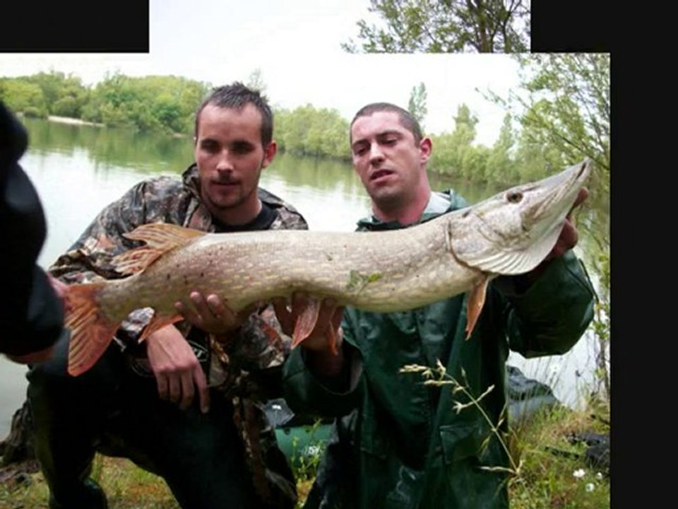 Pêche au brochet.Une semaine a la recherche de maitre Esox.