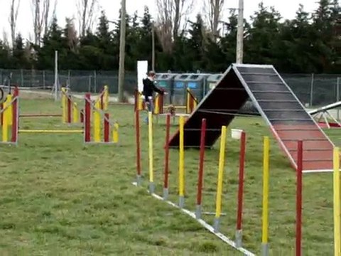 Biki entrainement agility 20 mars 2010