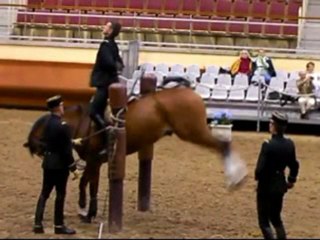 Saumur -classical academic riding -les écuyers du Cadre Noir