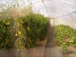 Yozgat Bakım ve Rehabilitasyon Merkezi Gösteri