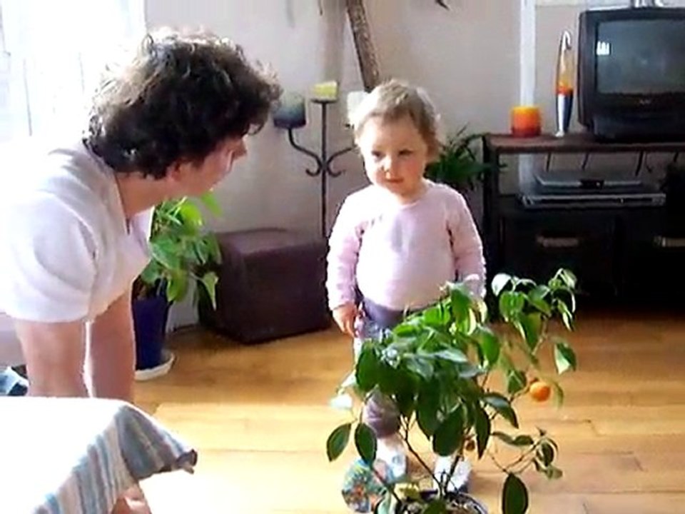 Arrosage par Marie
