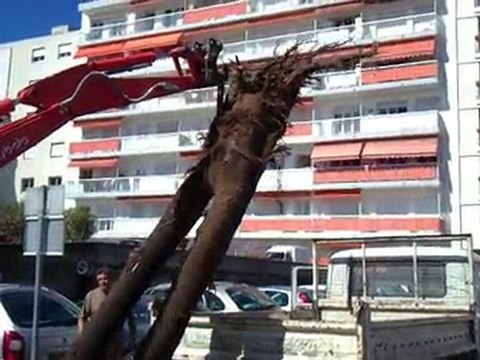 DECOUVERTE ARCHEOLOGIQUE A CAGNES SUR MER (18 06 2010)