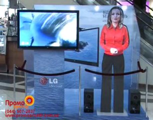 Виртуальный Промоутер 1