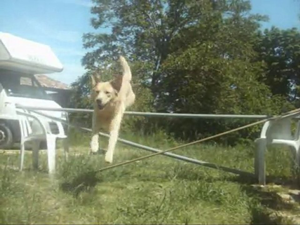 Saut de Scumpy