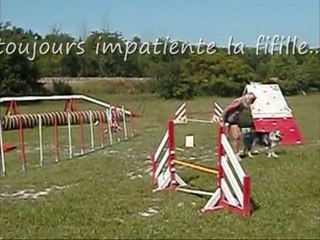 agility 1er parcour
