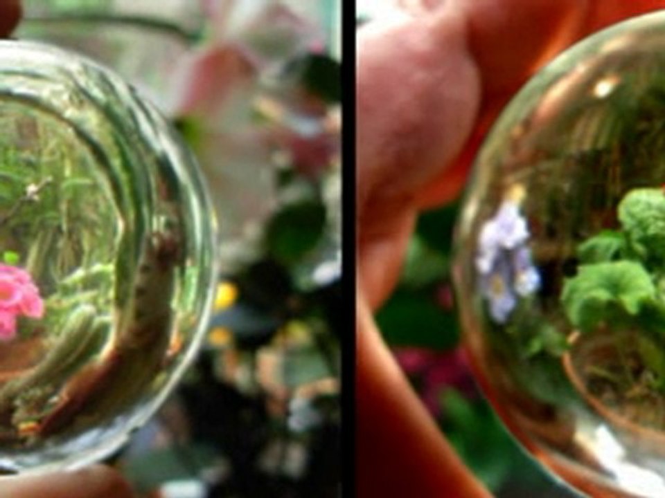 through a crystal ball /au travers d'une boule de cristal