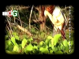 ANTSIRANANA 201 CREW....changer d'air