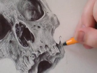 Dessin au stylo à bille .