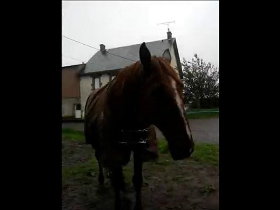 16 Ans → Mon Amour