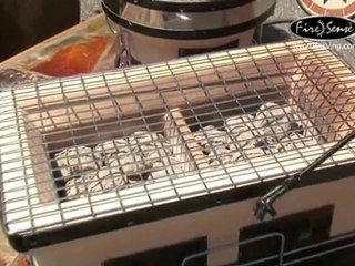 HotSpot Rectangle Yakatori Charcoal Grill