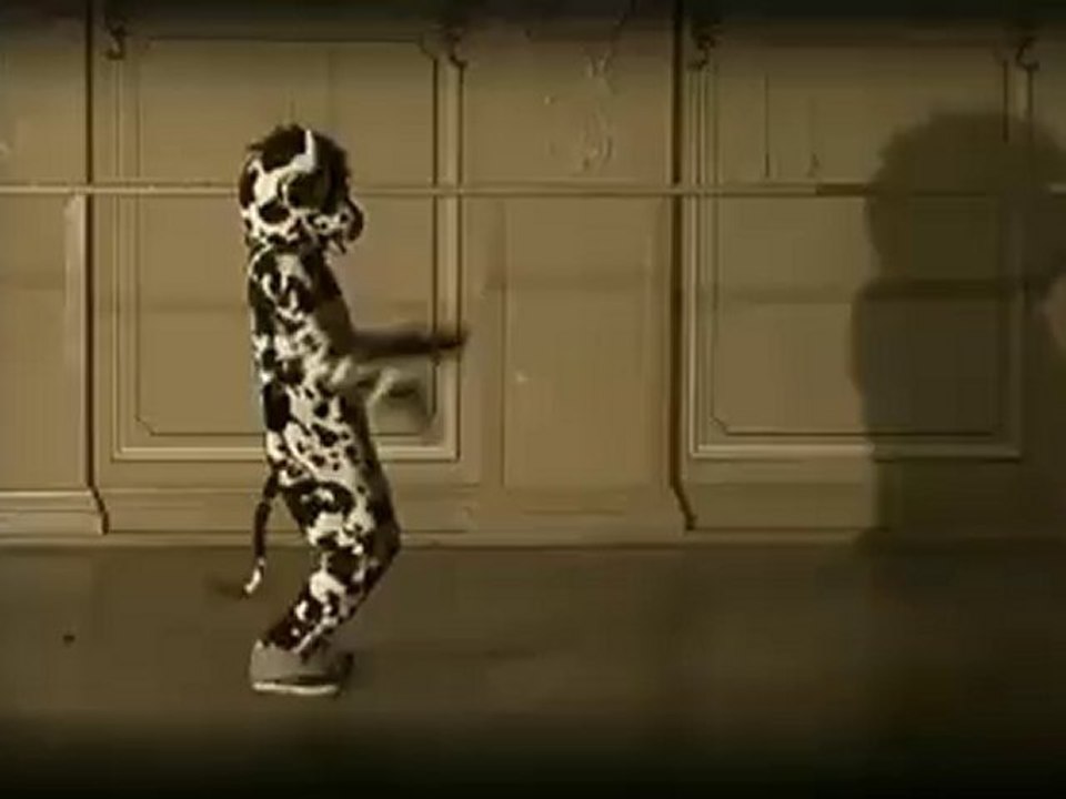 Dinner for One - by Amity in Fame