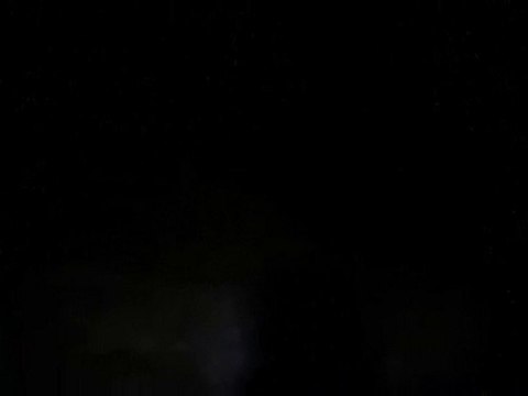 le chant des grenouilles.