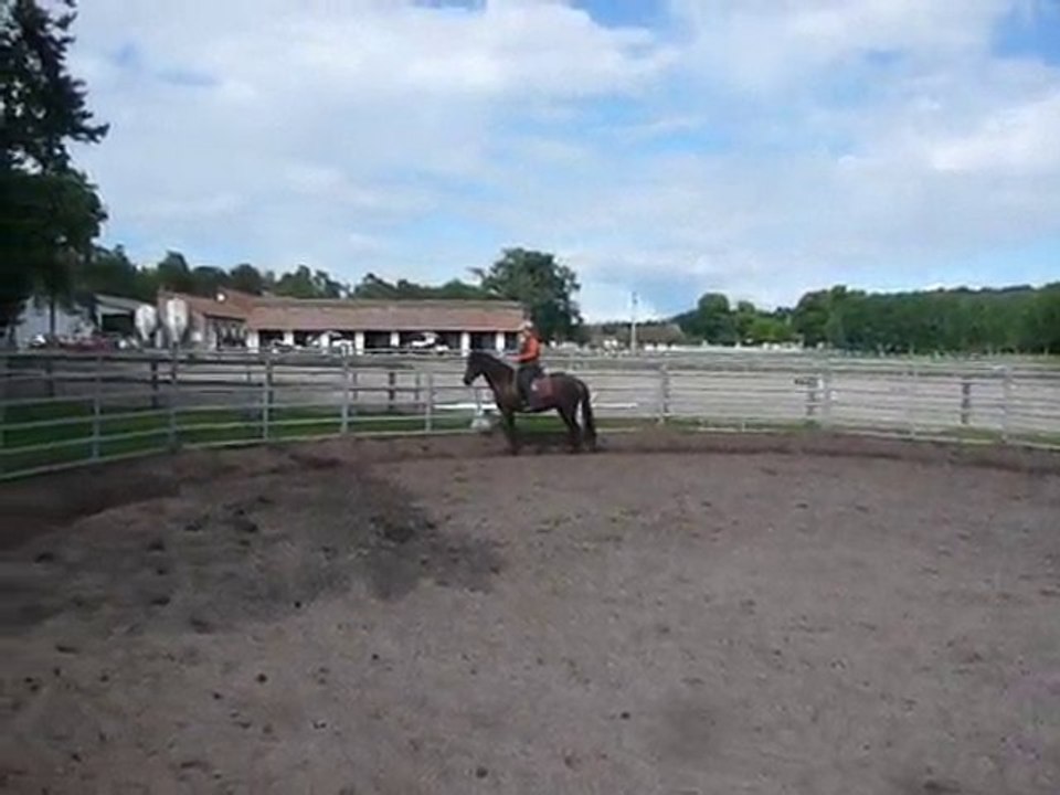 Rafia 1ère fois cordelette (juin 2010)