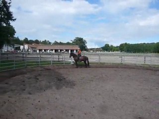 Rafia 1ère fois cordelette (juin 2010)