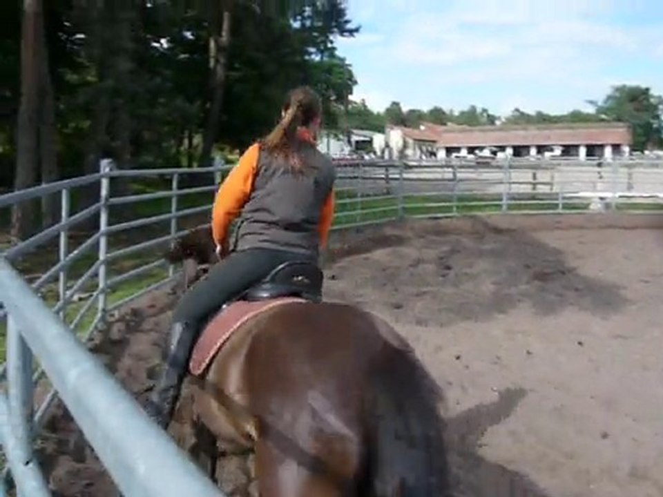 Rafia cordelette 1er fois (2) (juin 2010)