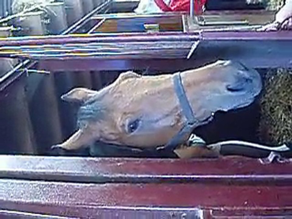 luti qui fait desbetises avec sa bouche