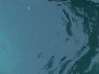 Poissons No Kill en Pêche Méditerranéenne 🐟