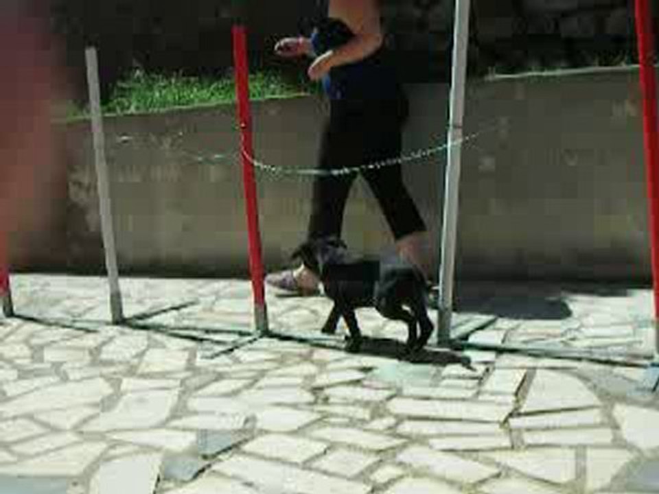 kiss slalom 1