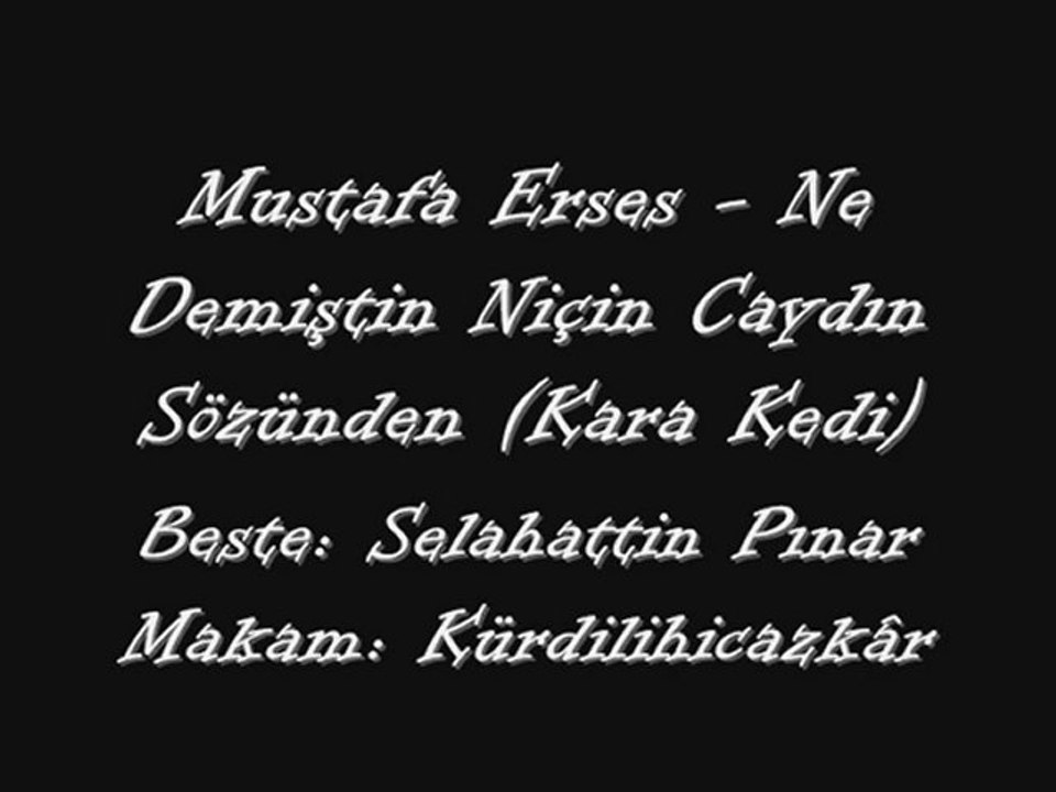 Mustafa Erses-Ne Demiştin Niçin Caydın Sözünden (Kara Kedi)