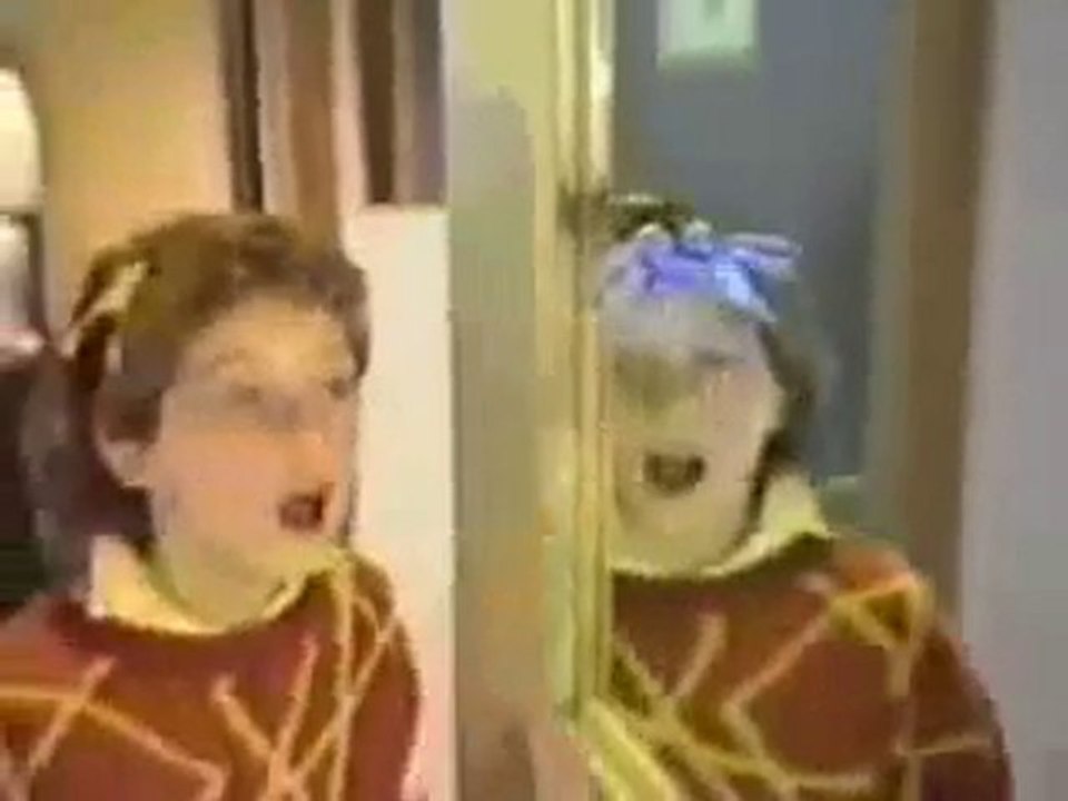 Wacky Wall Walkers