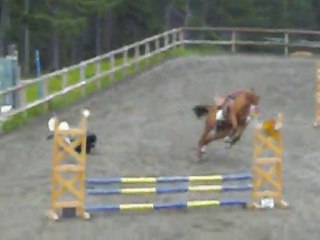 Chute à cheval (Nuit) Lozere