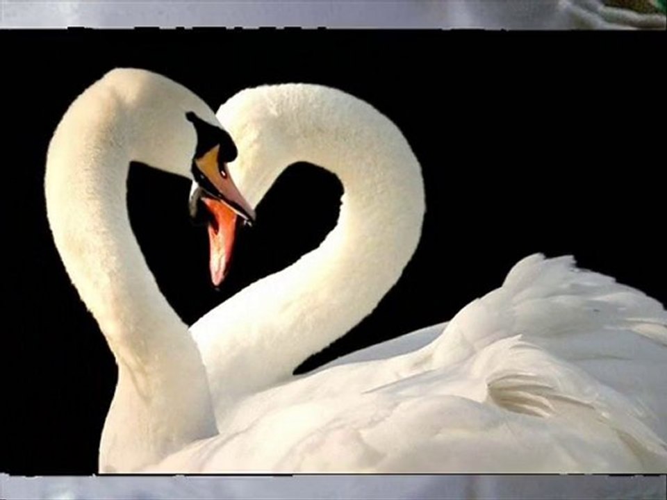 gözümün önüne geldi resmin