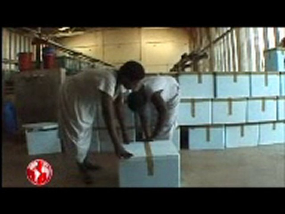 Afrikadan Malawi Cihlidleri Nasıl Geliyor? (İşte Cevabı (=)