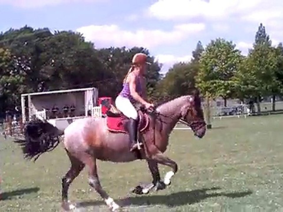 CLIP0004