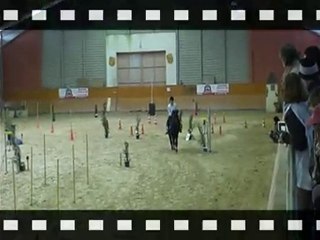 EQUIFUN - LAS BANDIDAS