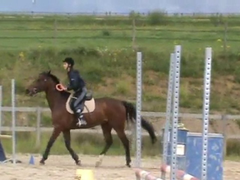 Olympiade 2010: Anais avec Holligan