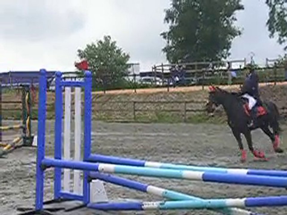 CSO Bièvre - Dimanche 20 juin 2010 -