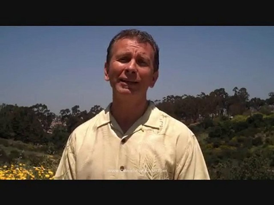 "Main Street Marketing Bonus, Traffic Geyser, Daniel Wynn"