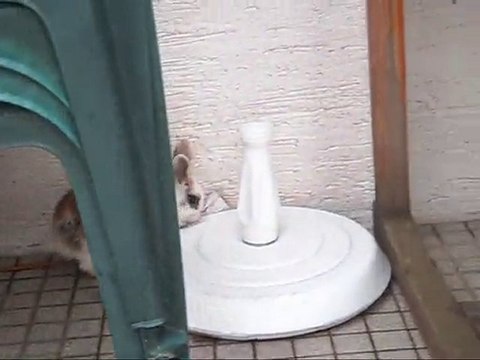 Dimanche 20 Juin => Un petit moment avec elle ♥