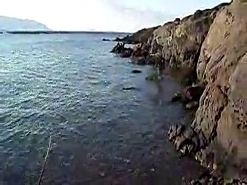 Kıyıdan balık avı balikcilar.org Hasan BALIKÇI&PAŞA TEAM