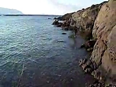 Kıyıdan balık avı balikcilar.org Hasan BALIKÇI&PAŞA TEAM