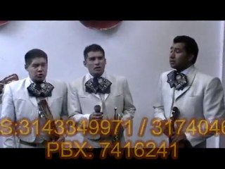 (mariachis) bogota