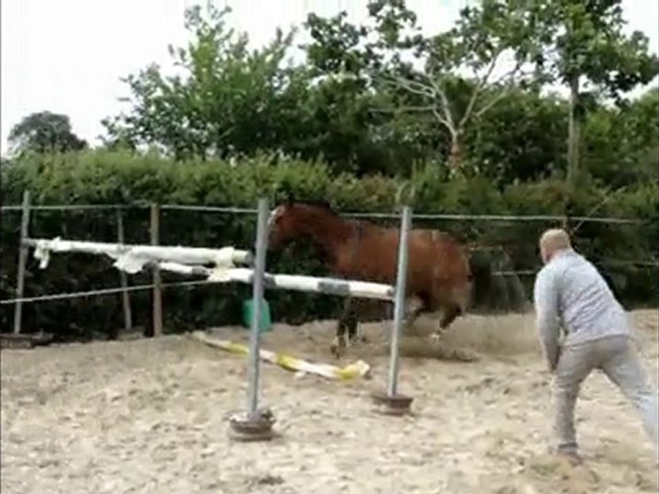 matéa liberté juin 2010