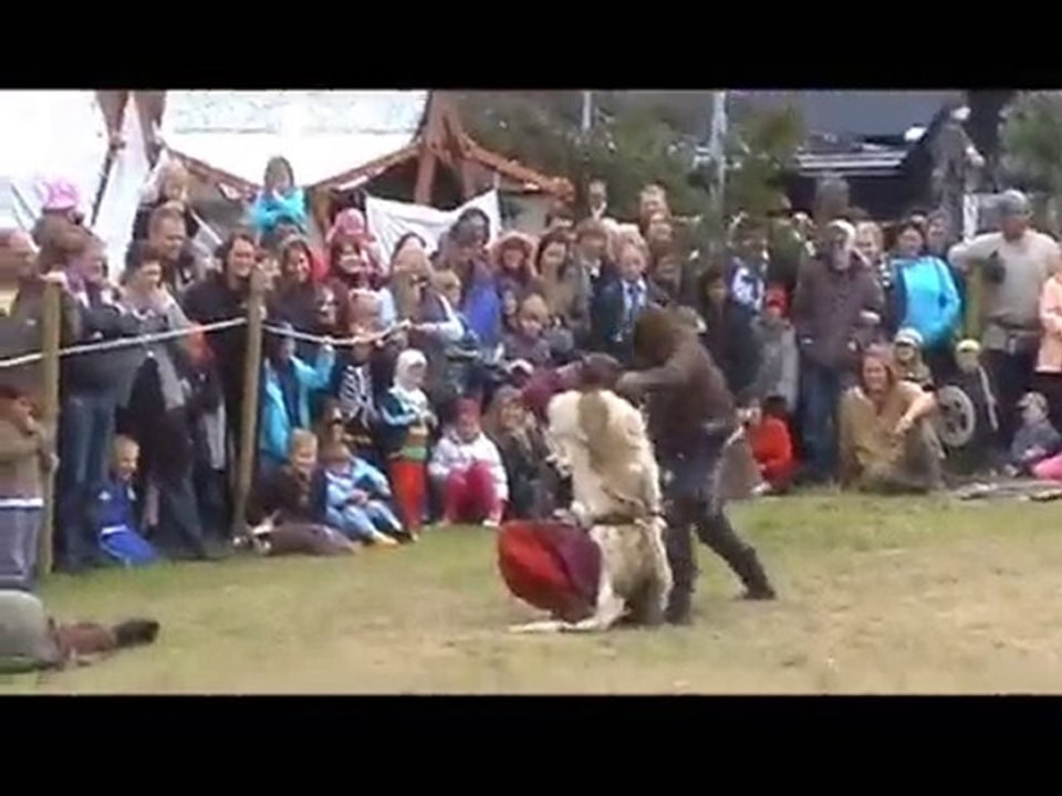 Vikings fight in Iceland - festival