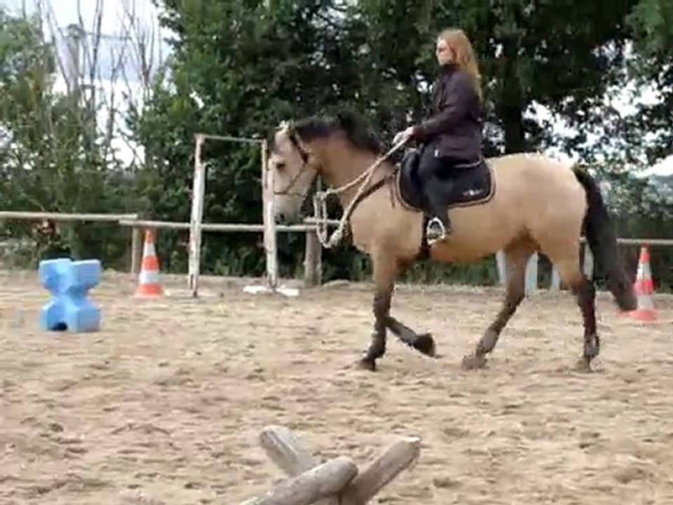 Travail au pas sur extension d'encolure en licol monté