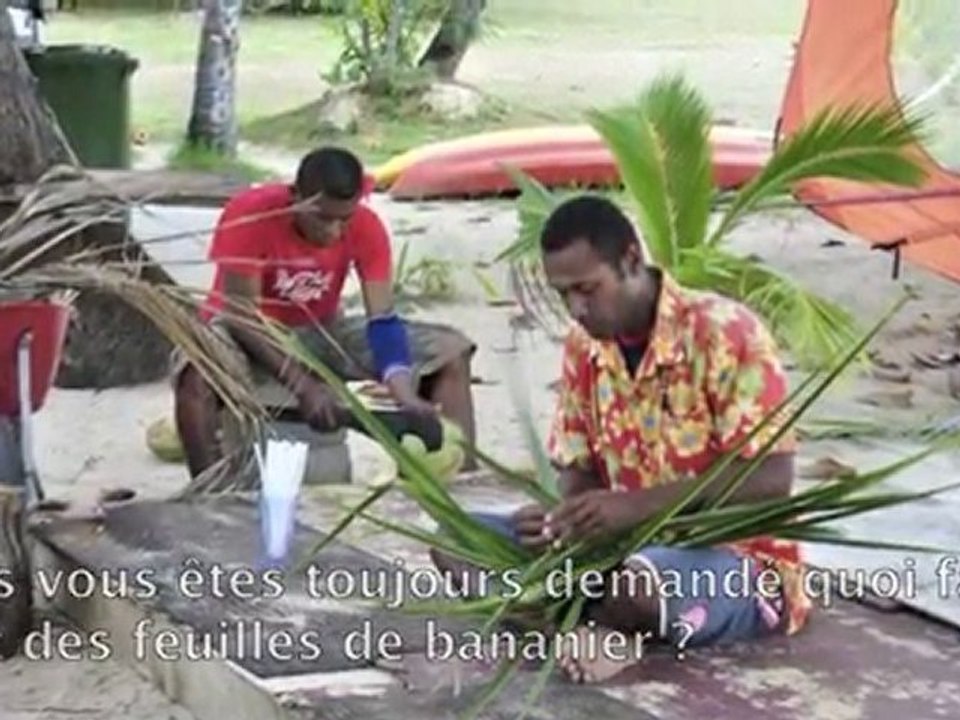 Fiji du 15 au 24 mai 10