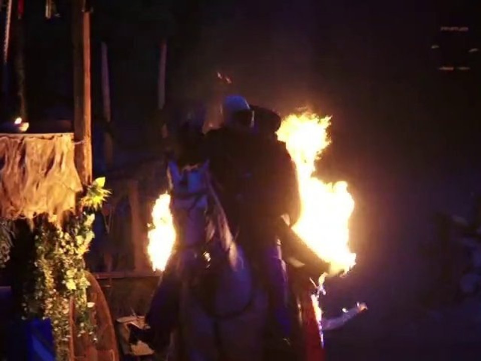 La Culturelle - Crins de feu - le 21 Juin 2010