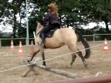 Travail sur flexions et exetension d'encolure au galop