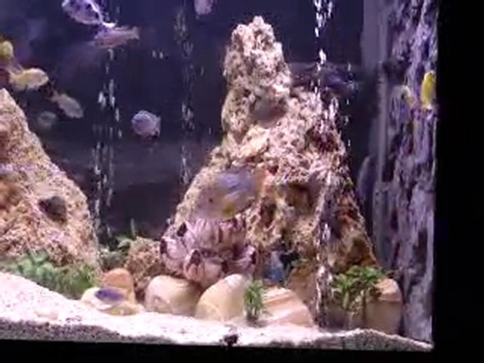 Aquarium