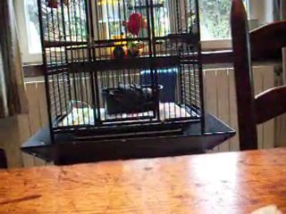 oufffffffti tu ma fait peur ptit couillon