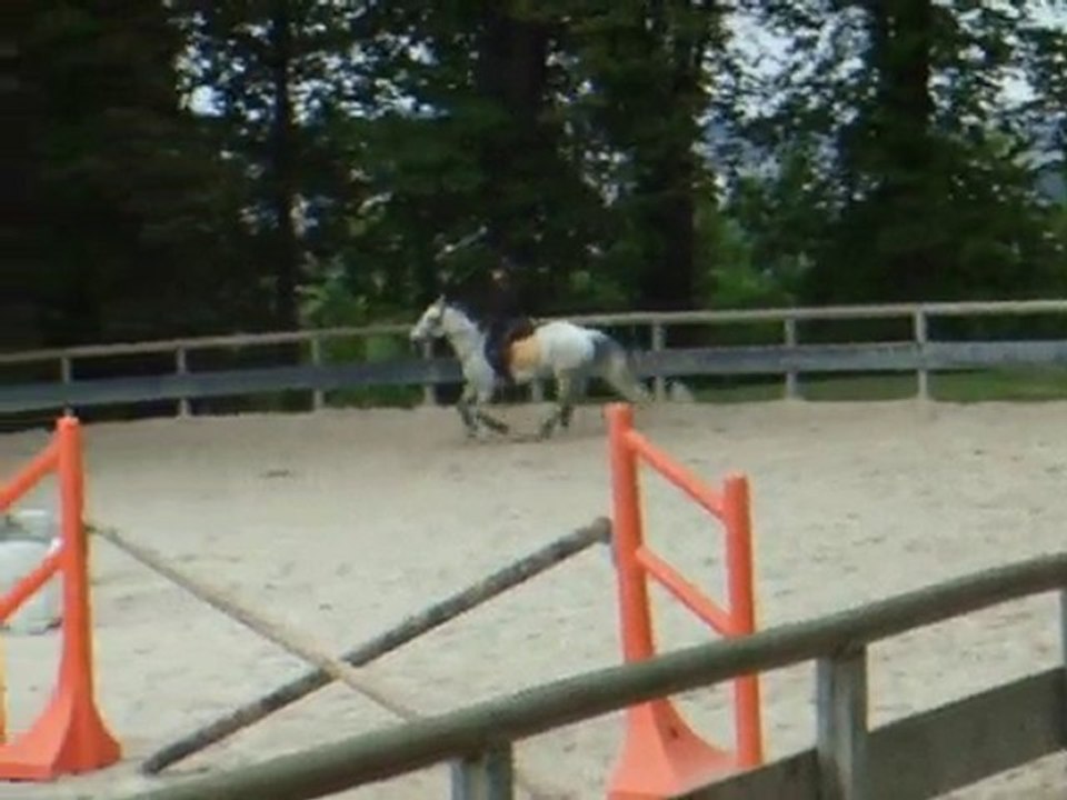 Lutig et moi galop4 / part. saut