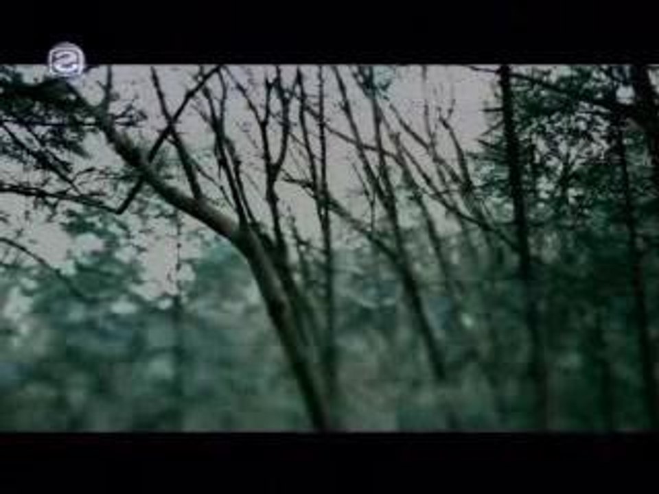mink - Eternal Love