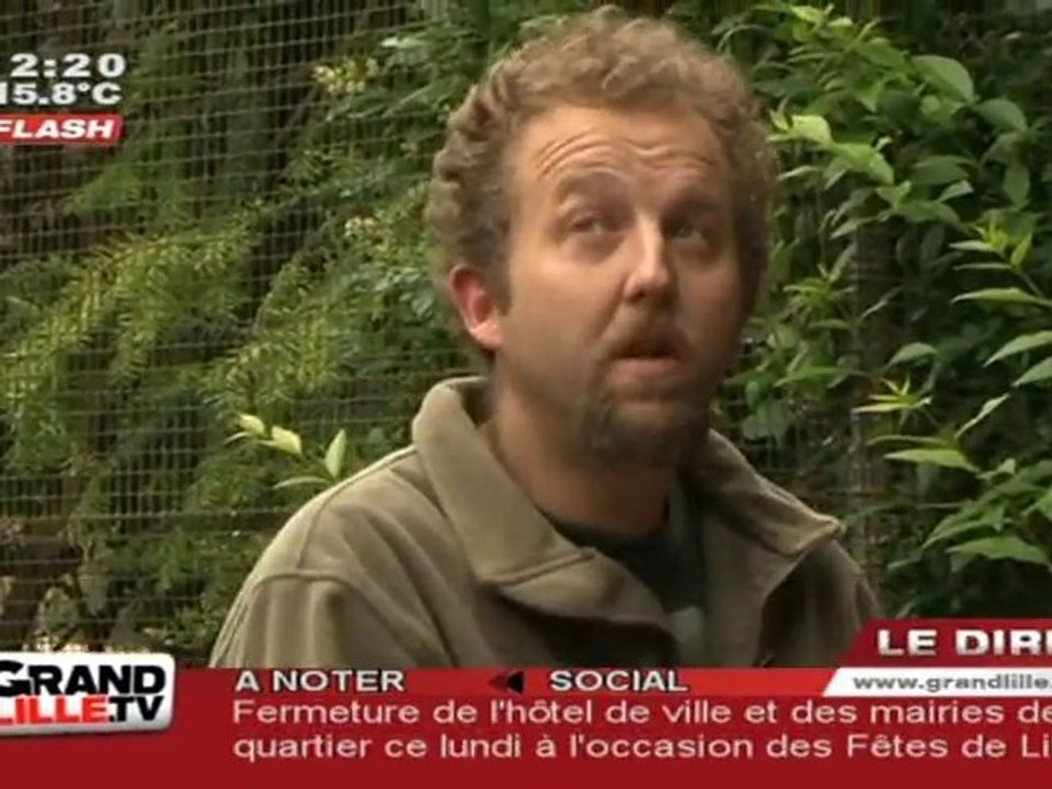 Visite Nocturne du Zoo de Lille